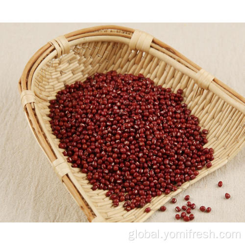 Organic  Adzuki  Bean Red Bean Factory